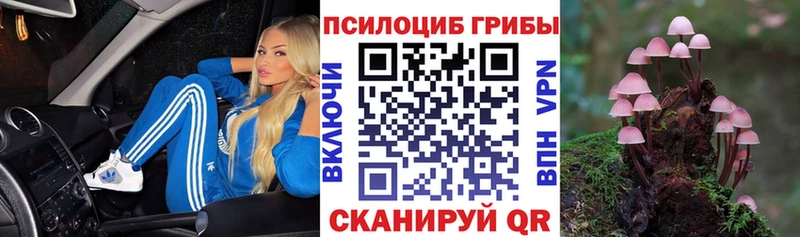 сколько стоит  Белая Калитва  Псилоцибиновые грибы Psilocybine cubensis 